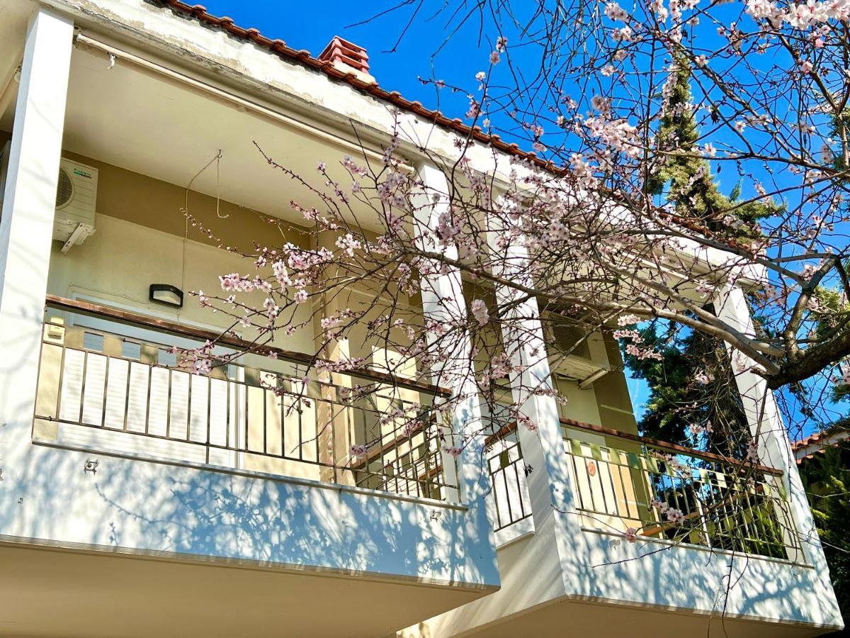 Nikiti Beach Houses Luaran gambar